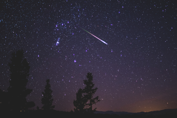 A starry night sky with silhouettes of trees at the bottom of the image. A bright meteor is seen flying through the sky.