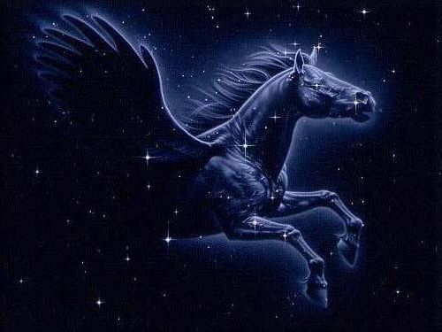 Pegasus