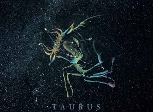 taurus