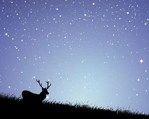 exmoor stargazing